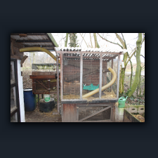 Garten 011.jpg