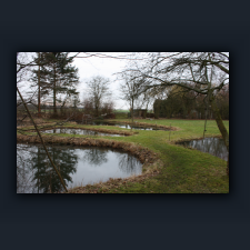Garten 037.jpg