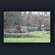 Garten 047.jpg