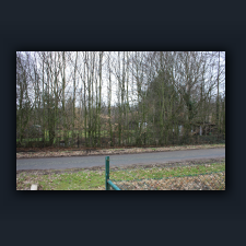 Garten 072.jpg