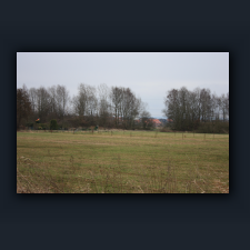 Garten 082.jpg