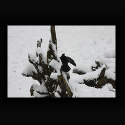 FIMG 6814 - IMG 6814.jpg