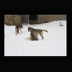 IMG_6878.jpg