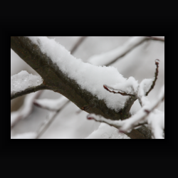 NIMG 6919 - IMG 6919.jpg